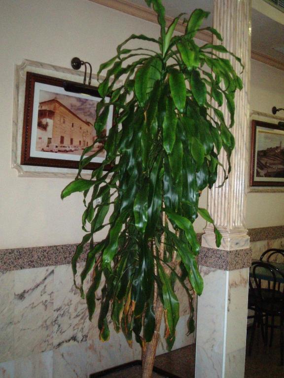 Hotel Los Hermanos Ocana  Luaran gambar